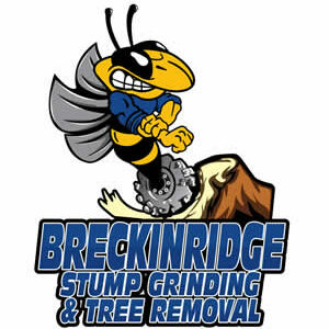 Breckinridge Stump Grinding & Tree Removal